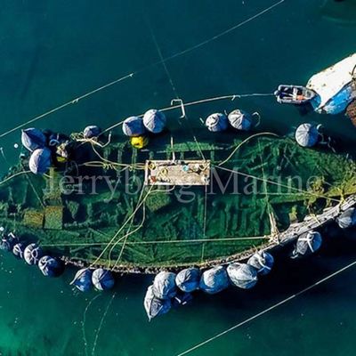 空気のゴム製 フェンダーの横浜天然ゴムの船のフェンダー中国製
